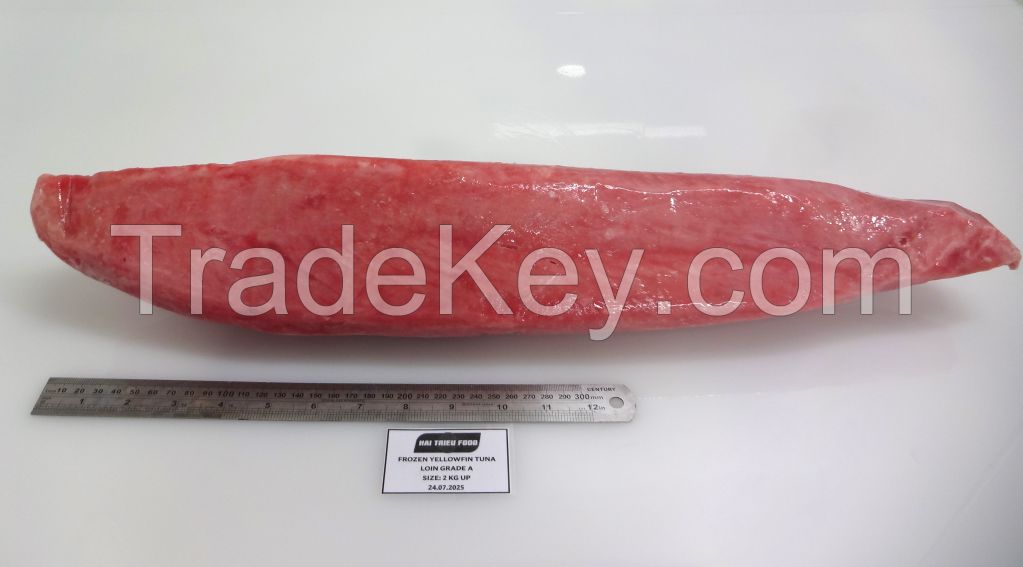 Frozen Yellowfin Tuna (Loin/Steak/Cube/Saku)