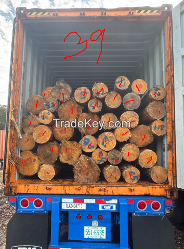 Southern Yellow Pine