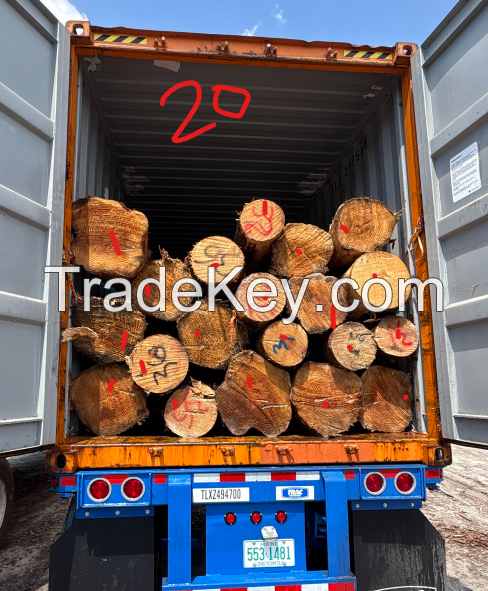 Southern Yellow Pine