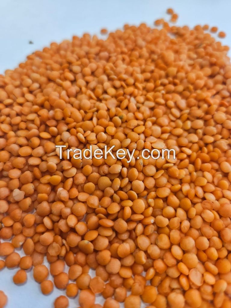 We Sell Green and Red Lentils (Wide Range of product) and Chickpeas
