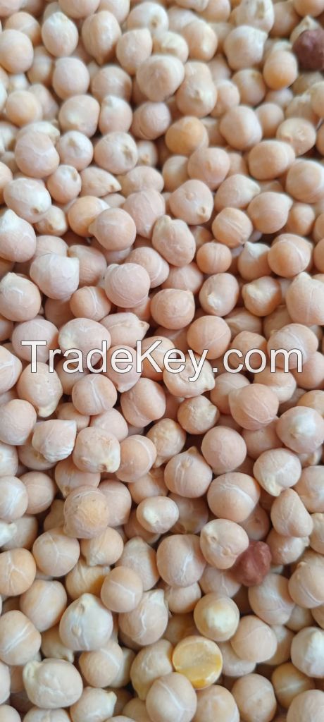 We Sell Green and Red Lentils (Wide Range of product) and Chickpeas