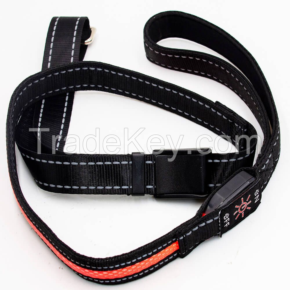 Rugged Nylon LED Illuminated Dog Leash for Cats & Dogs - Breathable Mesh, USB Rechargeable, Multi-Color Lights, Waterproof, OEM Available