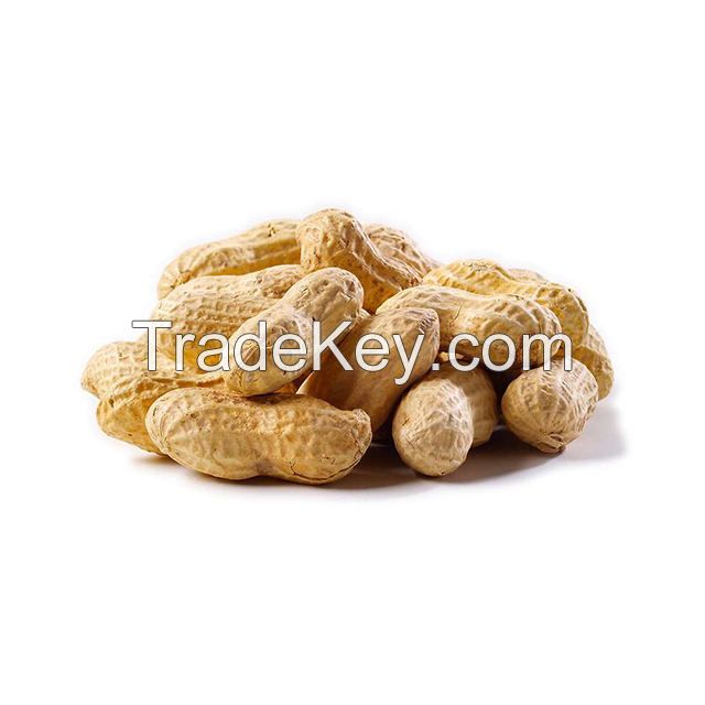 best-selling exporters groundnuts flavoured peanuts with shell for sale roasted peanut kaju nuts