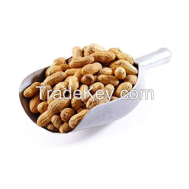 best-selling exporters groundnuts flavoured peanuts with shell for sale roasted peanut kaju nuts