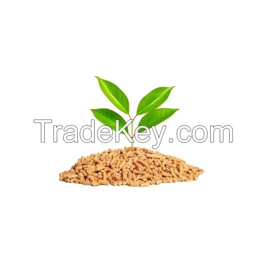 best service seafood fish 300-500g pacific fresh ship frozen mackerel horse fish in stock