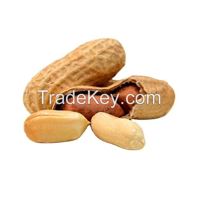 best-selling exporters groundnuts flavoured peanuts with shell for sale roasted peanut kaju nuts