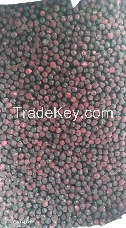 Best quality new crop Blueberry Frozen Blueberry IQF Blueberry