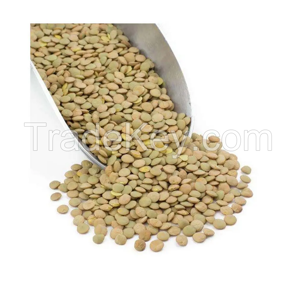 Healthy Food 100% Natural Legumes Organic Beans Bulk Non-GMO Dried Green Lentils