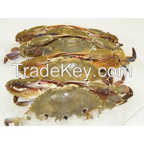 Alaskan King Crabs / Frozen King Crab Legs