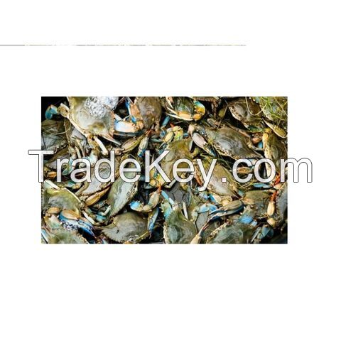 Alaskan King Crabs / Frozen King Crab Legs