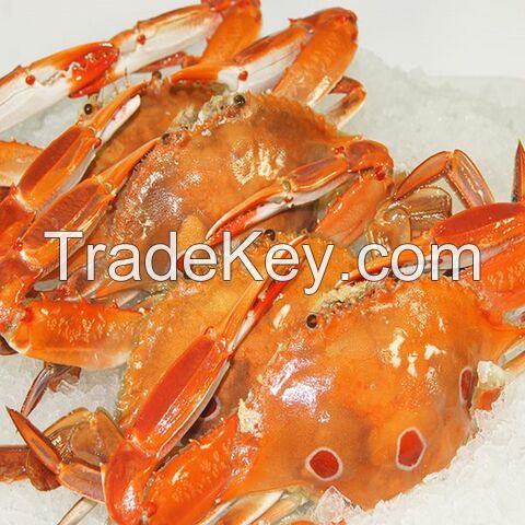 Alaskan King Crabs / Frozen King Crab Legs