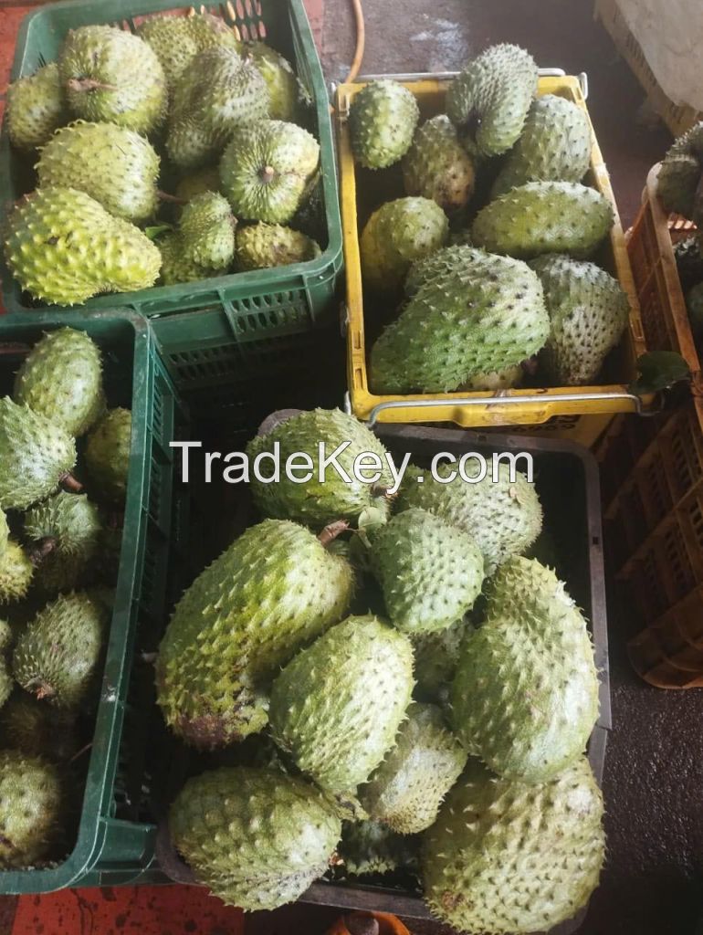 ALL-NATURAL SOURSOP PUREE / DELIGHTFUL TASTE / AFFORDABLE VALUE / MADE IN VIETNAM