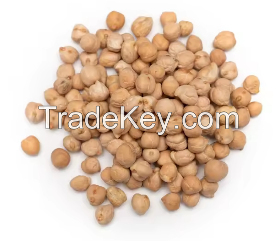 100%Top-Quality Chickpeas For Exporters