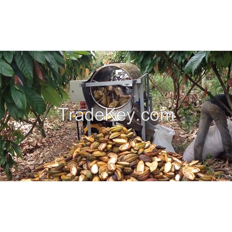 Automatic Green Cocoa Pod Thresher Sheller Fresh Cocoa Pod Hulling Dehuller Machine