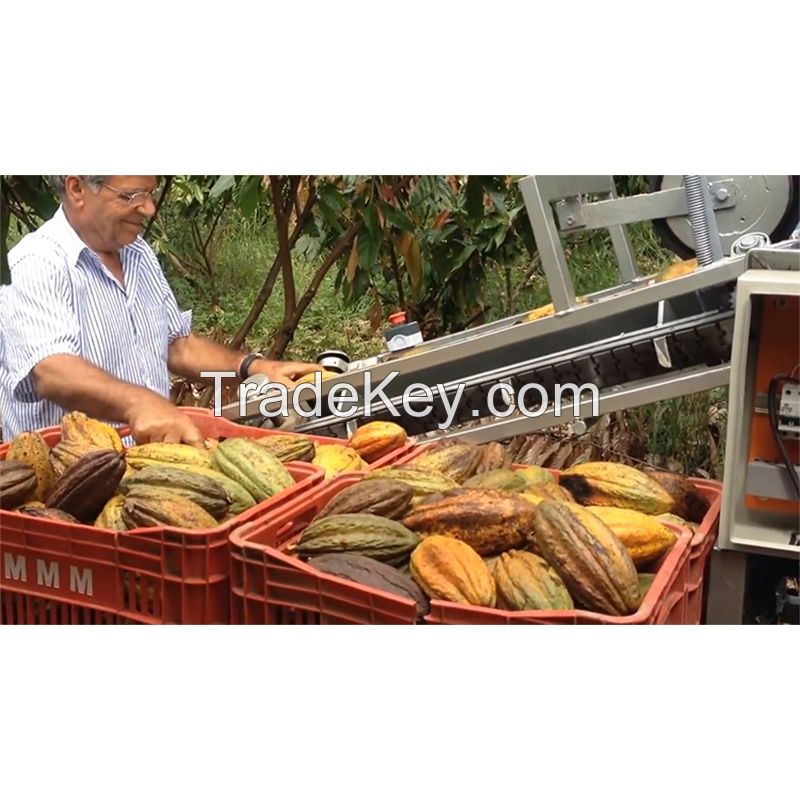 Automatic Green Cocoa Pod Thresher Sheller Fresh Cocoa Pod Hulling Dehuller Machine
