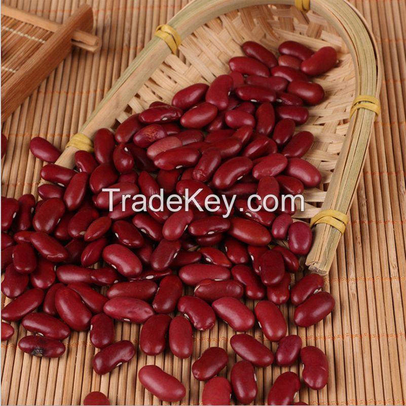 High Quality Raw Dried Fagioli Rossi Red Bean Wholesale Red Kidney Beans