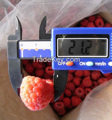 Frozen Organic Raspberries Freezing Fresh Red Raspberry Fruit