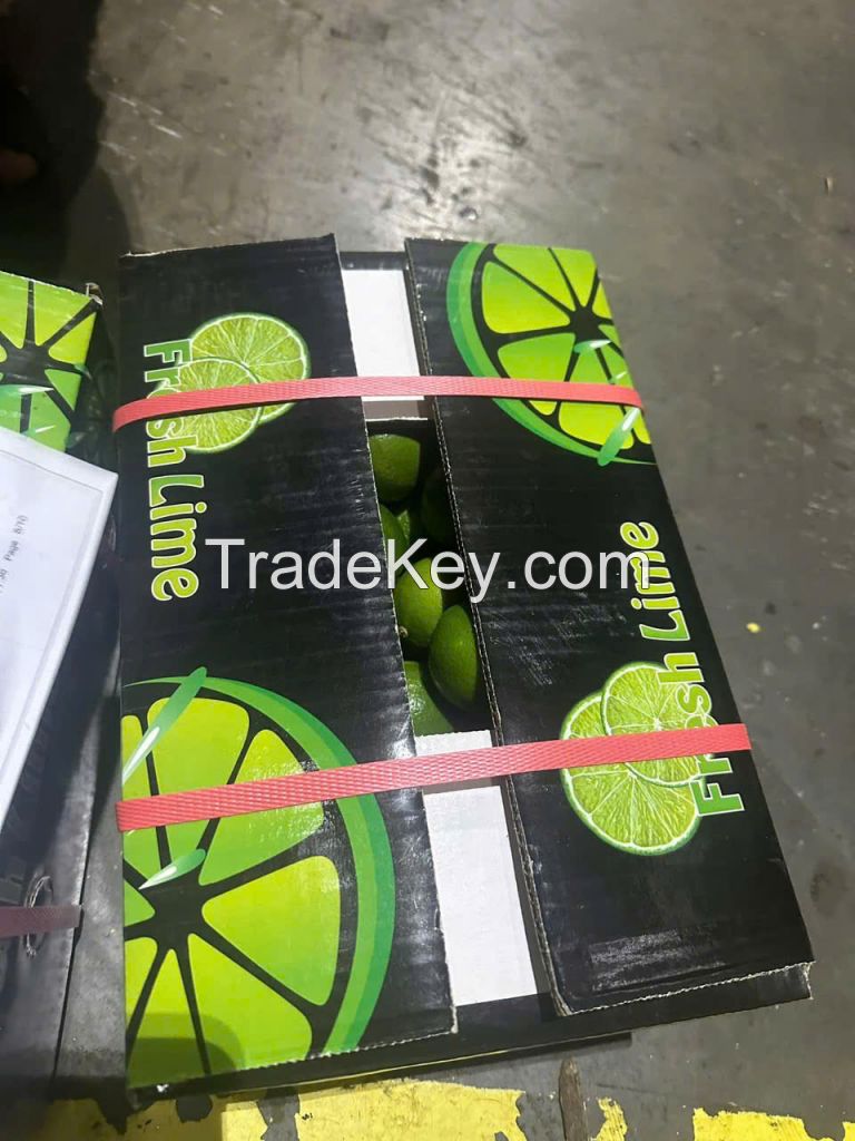 Vietnamese Seedless Limes & Premium Fresh Coconuts for Export