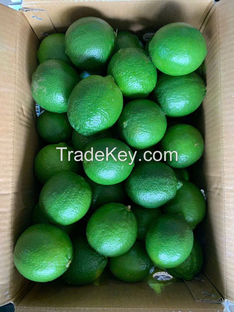 Vietnamese Seedless Limes & Premium Fresh Coconuts for Export
