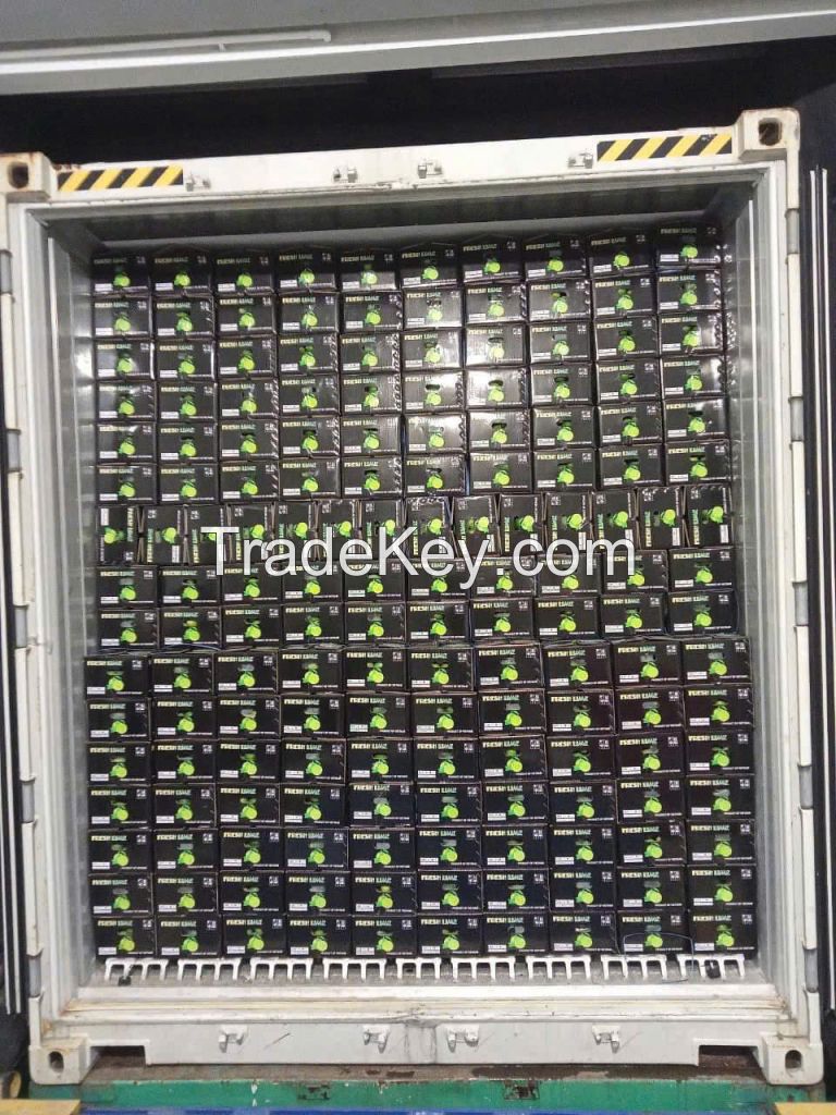 Vietnamese Seedless Limes & Premium Fresh Coconuts for Export