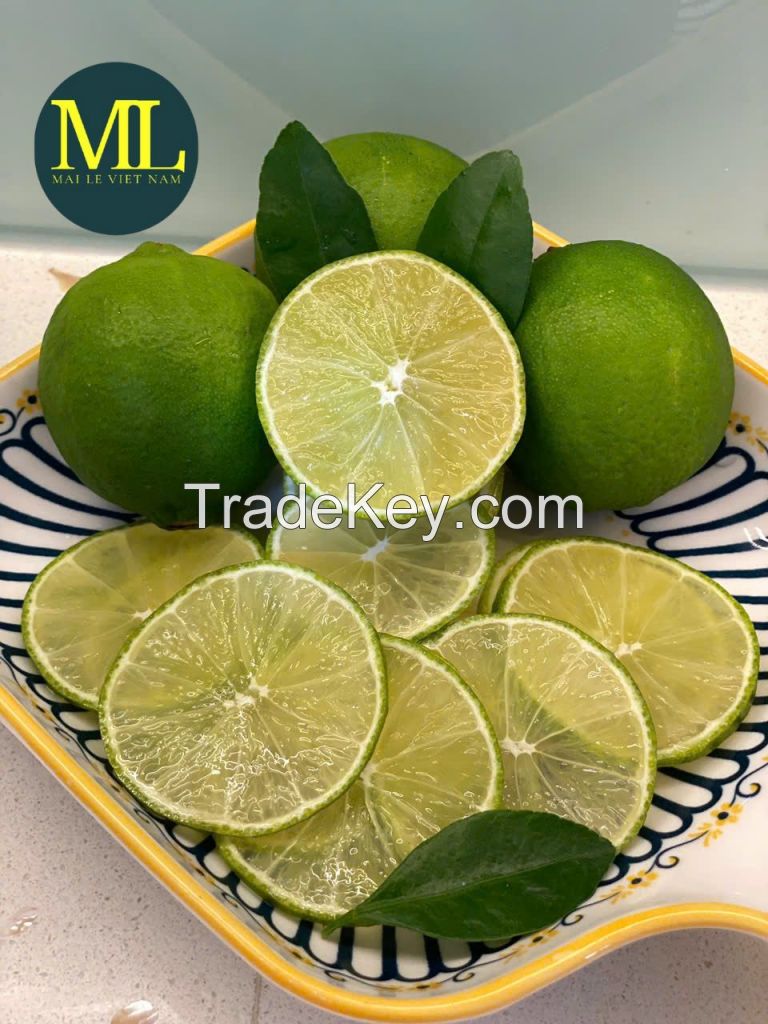 Vietnamese Seedless Limes & Premium Fresh Coconuts for Export