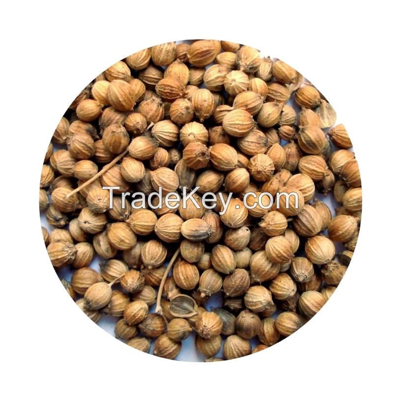 high quality suppliers top quality coriander seeds russian origin for sale black  coriander seed bulk  coriander