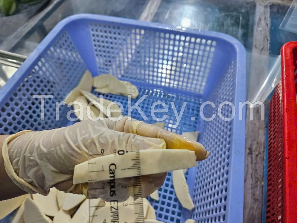 TROPICAL FROZEN BREADFRUIT / PLANT-BASED GOODNESS / CLEAN LABEL / CHEMICAL-FREE