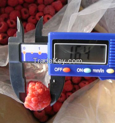 Frozen Organic Raspberries Freezing Fresh Red Raspberry Fruit