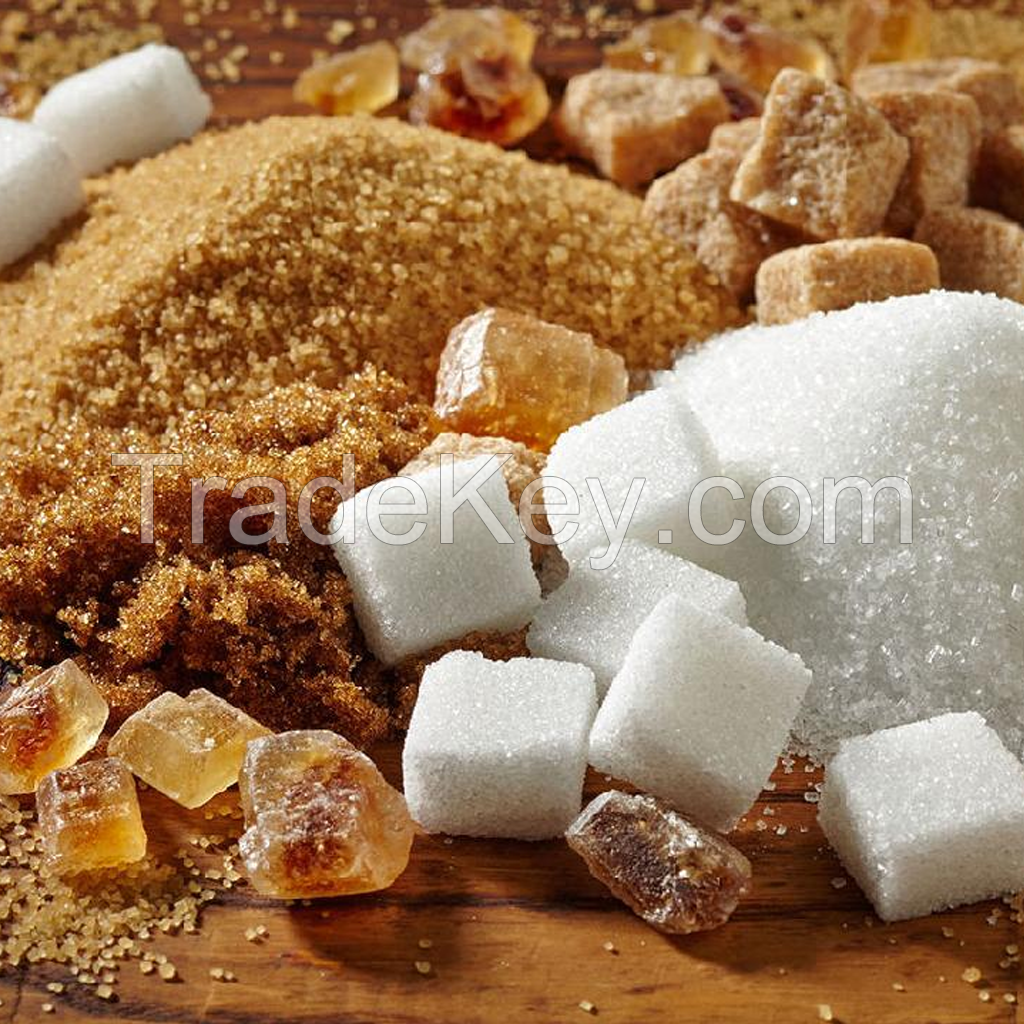 Refined White Sugar for Wholesale - Icumsa 45 Sugar for Sale
