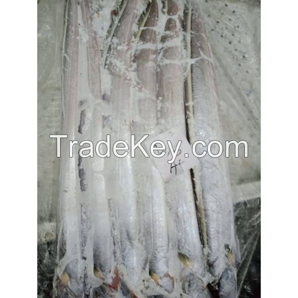 No Red Eye Frozen Ribbon Fish Available 