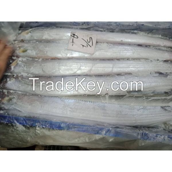 No Red Eye Frozen Ribbon Fish Available 