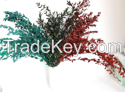 Three types of eucalyptus leaves (Dye absorption, bleaching)