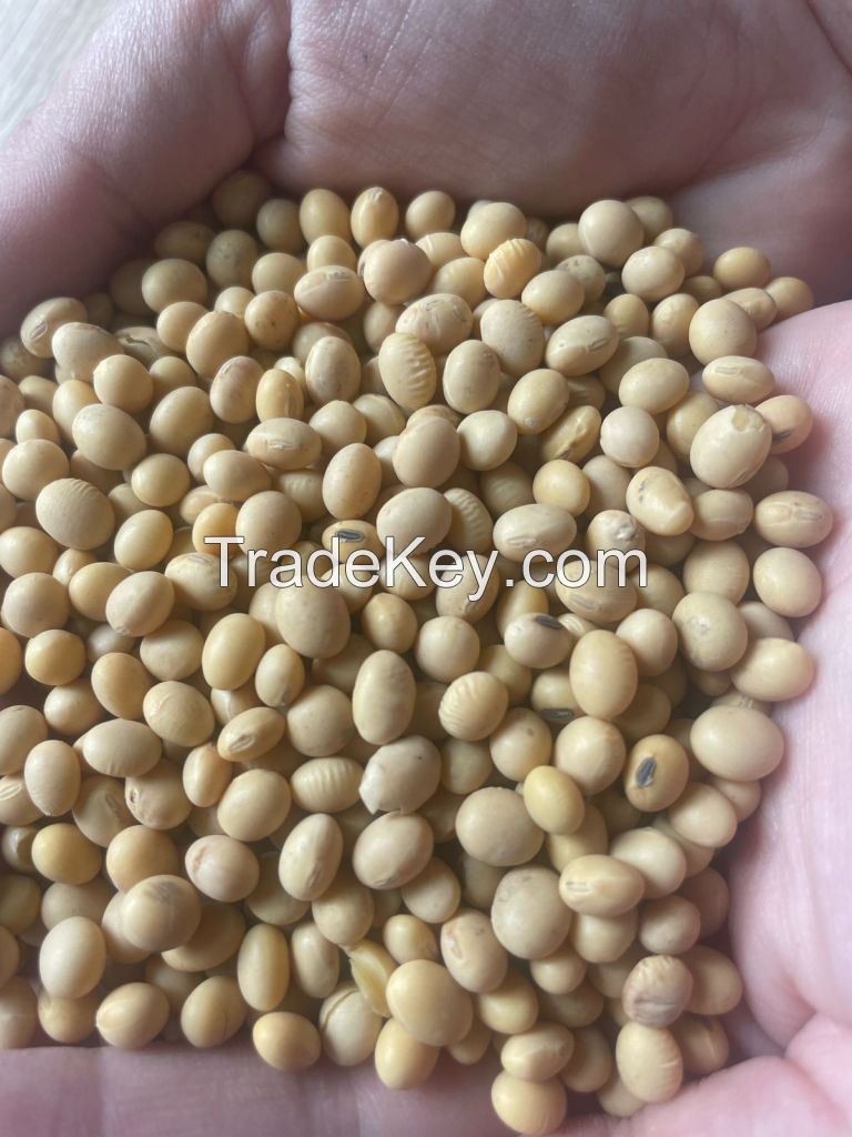 soybeans, rapeseed
