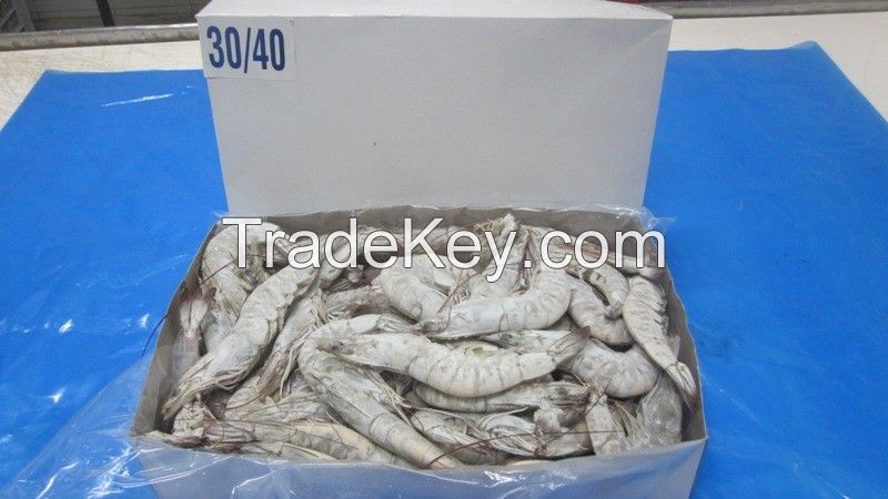 FROZEN SEAFOOD SHRIMP HEAD ON