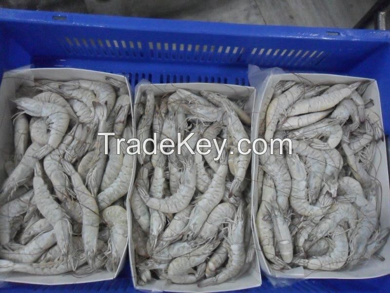 FROZEN SEAFOOD SHRIMP HEAD ON