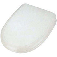 PVC toilet seat