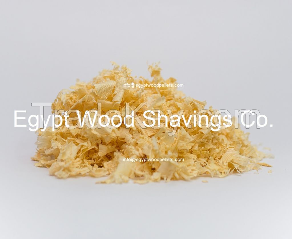 Wood Shavings