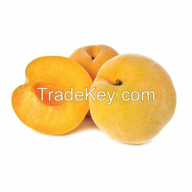 Frozen IQF Peach Slices Diced Halves Vietnam Bulk Supply