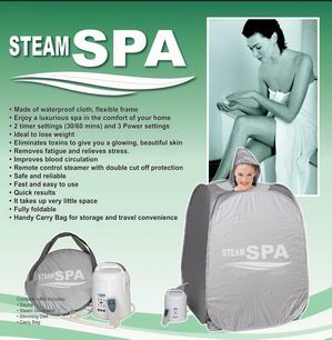 Sauna Steamer/Steam Spa