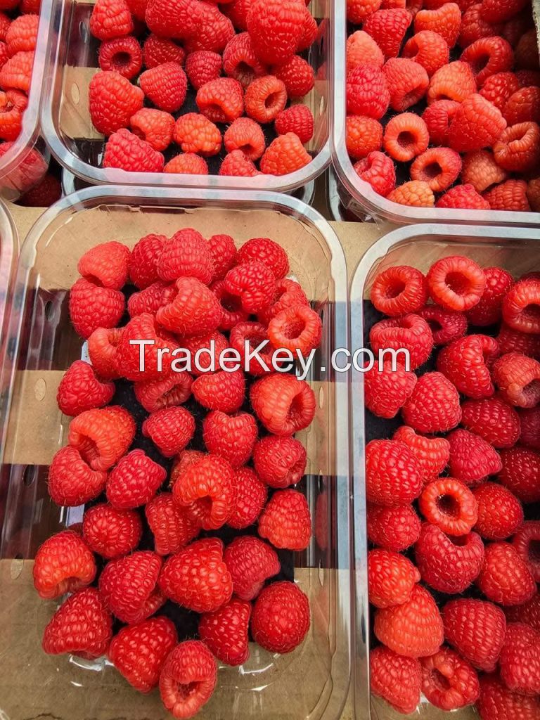Raspberry