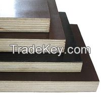 Plywood, film faced plywood, marine plywood, bingtangor, okume plywood