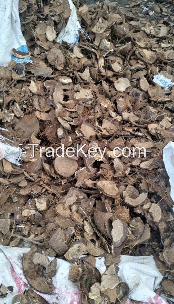 Coconut Shells