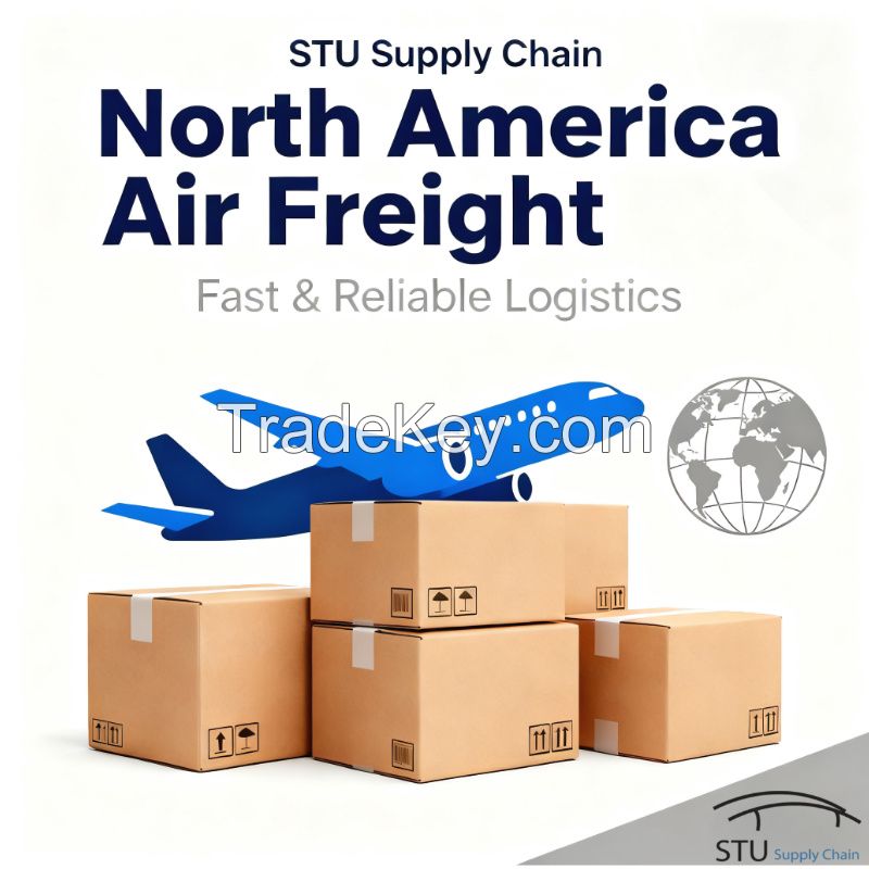 China Freight Agents International Logistics Door to Door Air Shipping From China to USA