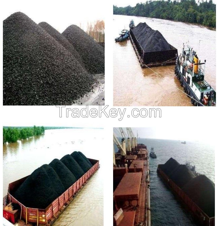 Steam Coal