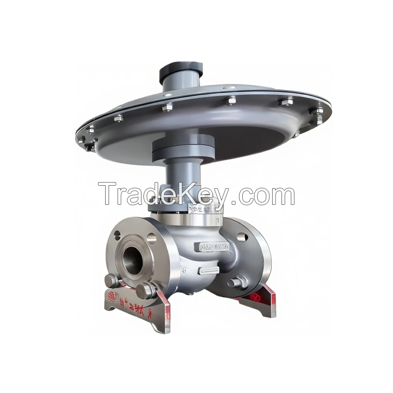 Self-Actuated Low Pressure Regulator Valve