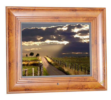 Digital Picture Frames