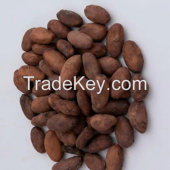 Best Price Organic Cocoa Beans Madagascar Cocoa Beans for Gourmet Chocolate