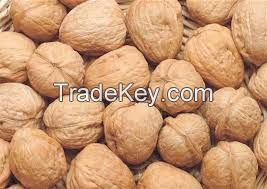 Walnuts 