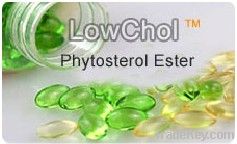 nature Phytsterol ester 90%/ Koser certificate