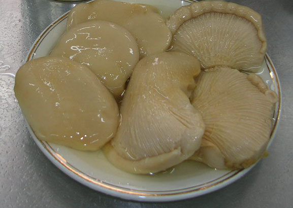 Canned Oyster Mushroom